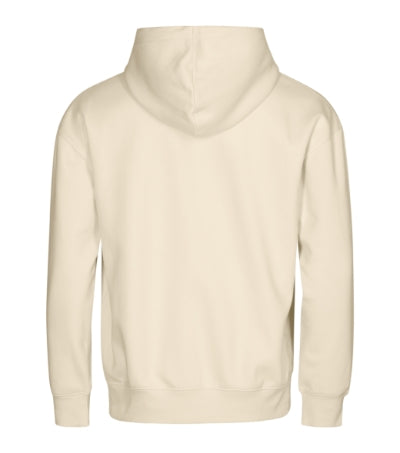 Two Ambitious Cloud Hoodie 280